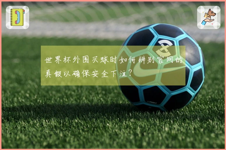 世界杯外围买球时如何辨别官网的真假以确保安全下注？