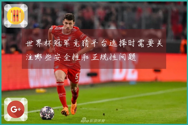 世界杯冠军竞猜平台选择时需要关注哪些安全性和正规性问题