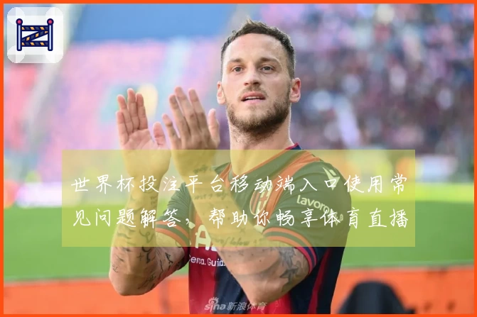 世界杯投注平台移动端入口使用常见问题解答，帮助你畅享体育直播体验