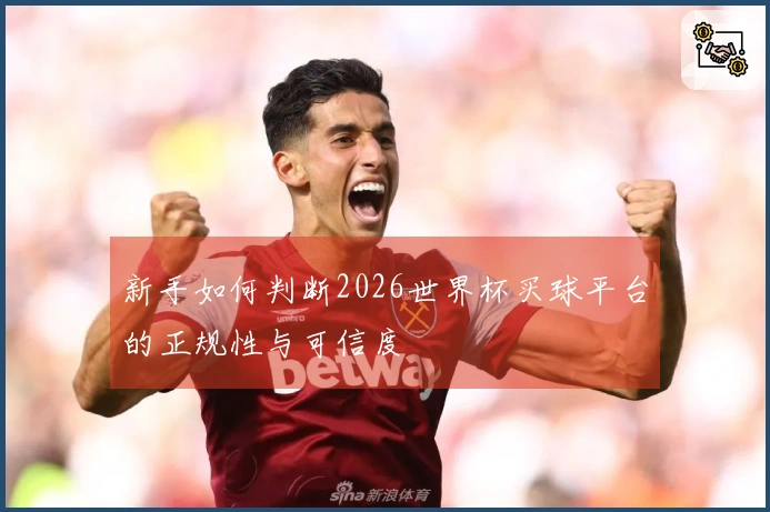 新手如何判断2026世界杯买球平台的正规性与可信度