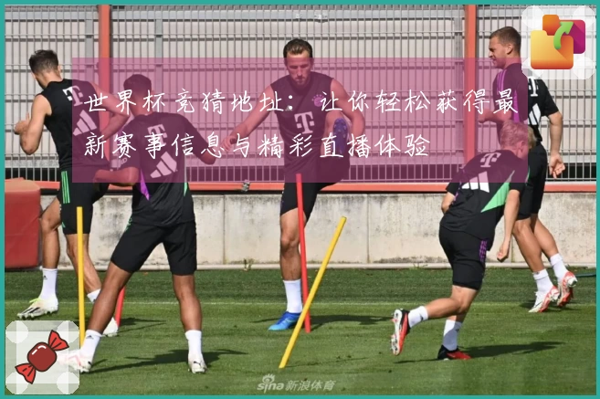 世界杯竞猜地址：让你轻松获得最新赛事信息与精彩直播体验