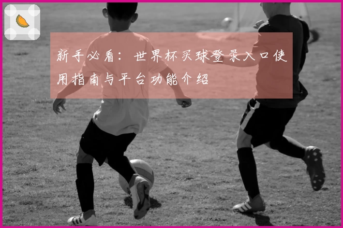 新手必看：世界杯买球登录入口使用指南与平台功能介绍