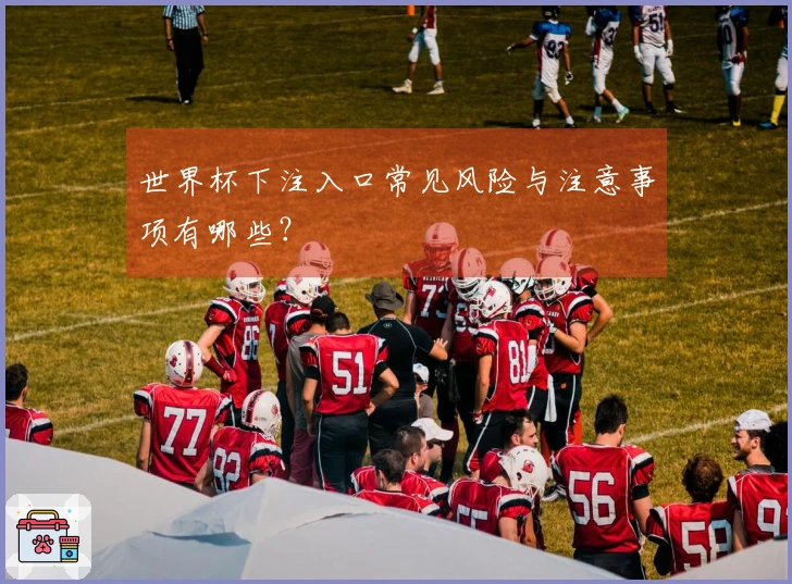 世界杯下注入口常见风险与注意事项有哪些？
