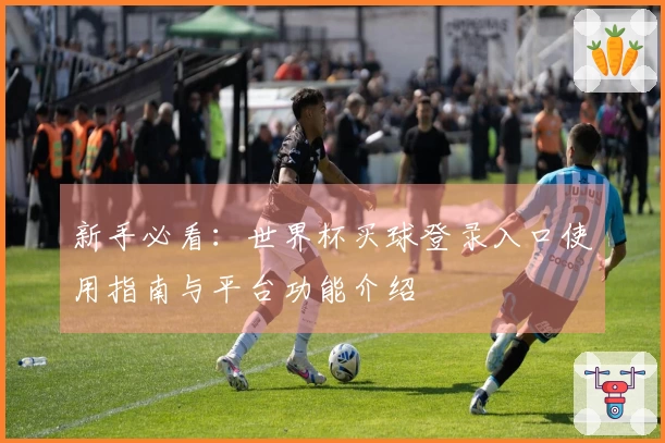 新手必看：世界杯买球登录入口使用指南与平台功能介绍