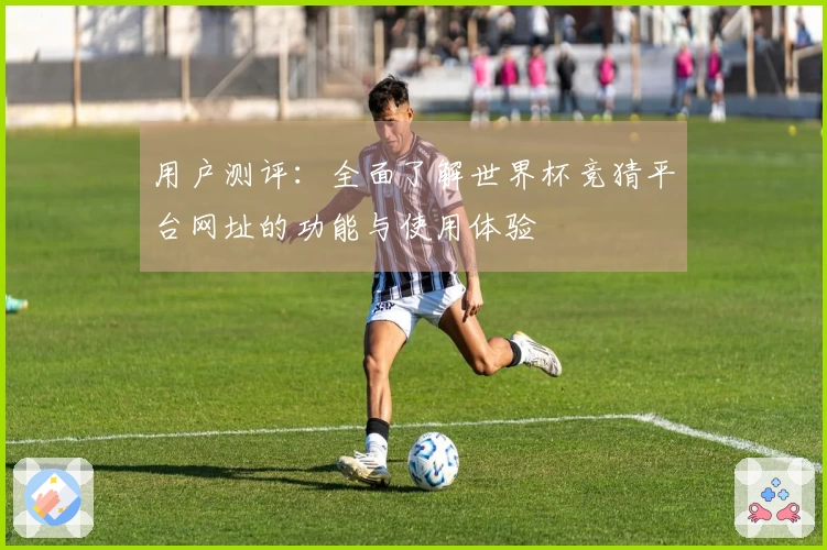 用户测评：全面了解世界杯竞猜平台网址的功能与使用体验