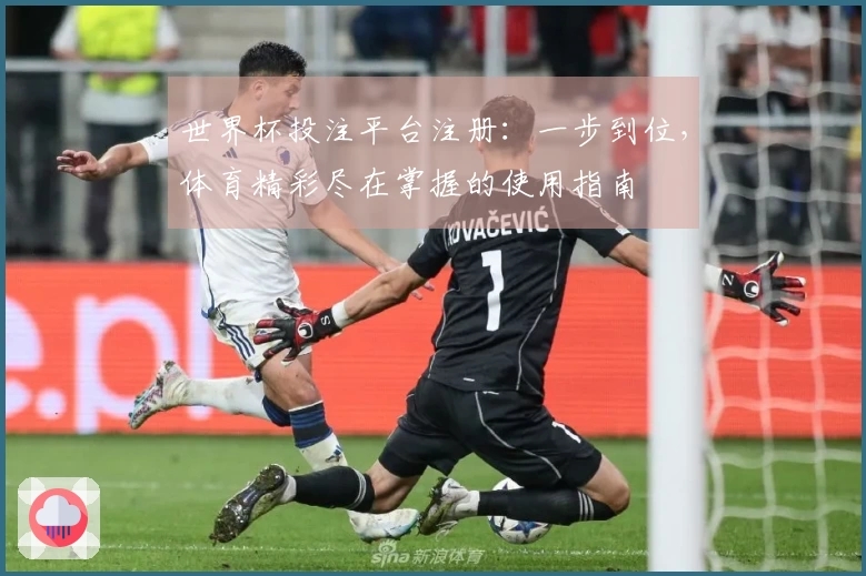 世界杯投注平台注册：一步到位，体育精彩尽在掌握的使用指南
