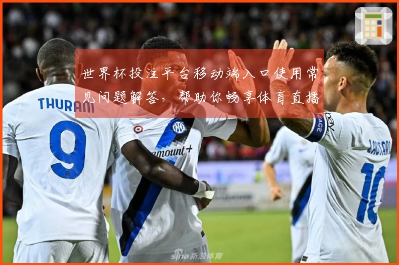 世界杯投注平台移动端入口使用常见问题解答，帮助你畅享体育直播体验