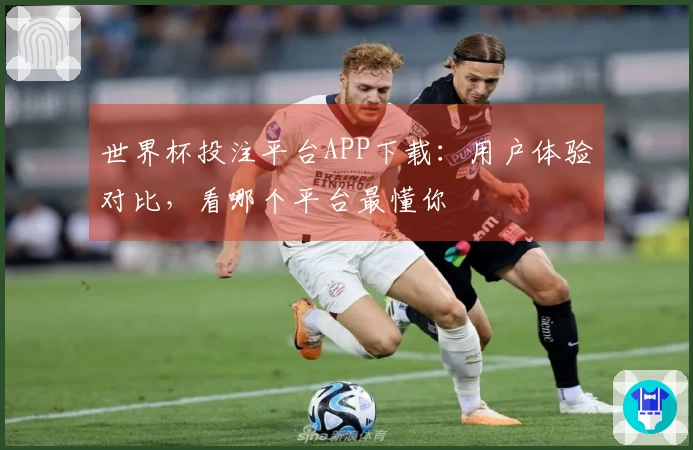 世界杯投注平台APP下载：用户体验对比，看哪个平台最懂你
