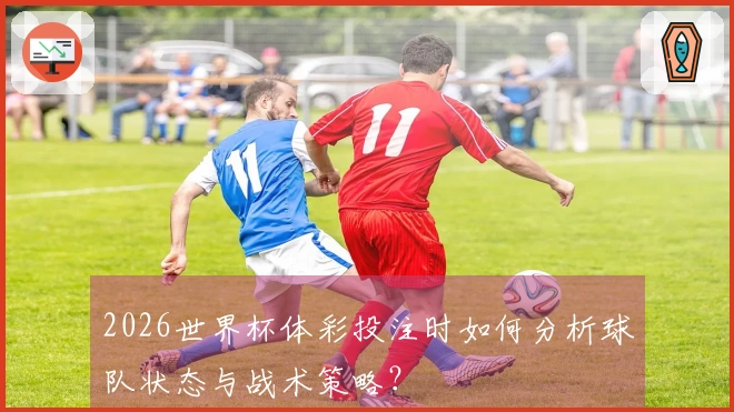 2026世界杯体彩投注时如何分析球队状态与战术策略？