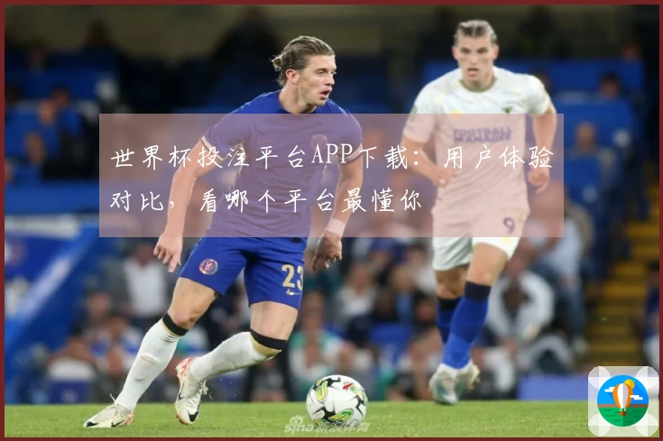世界杯投注平台APP下载：用户体验对比，看哪个平台最懂你