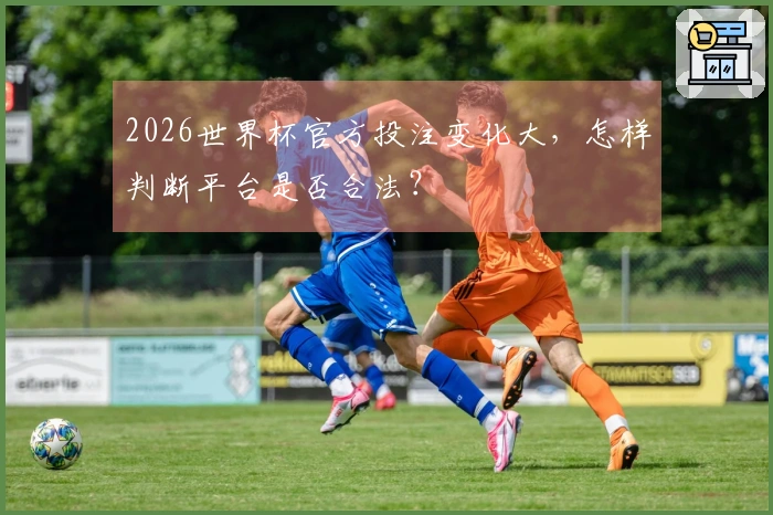 2026世界杯官方投注变化大，怎样判断平台是否合法？