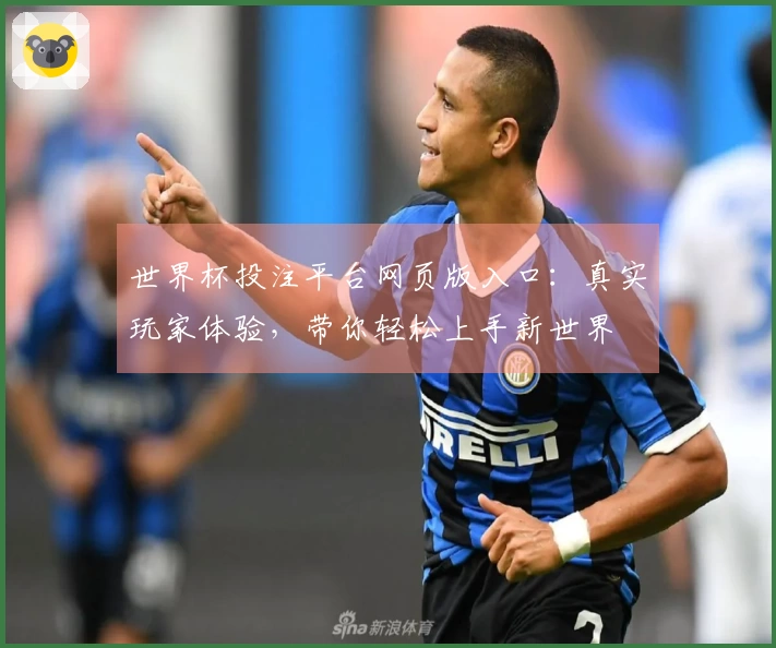 世界杯投注平台网页版入口：真实玩家体验，带你轻松上手新世界